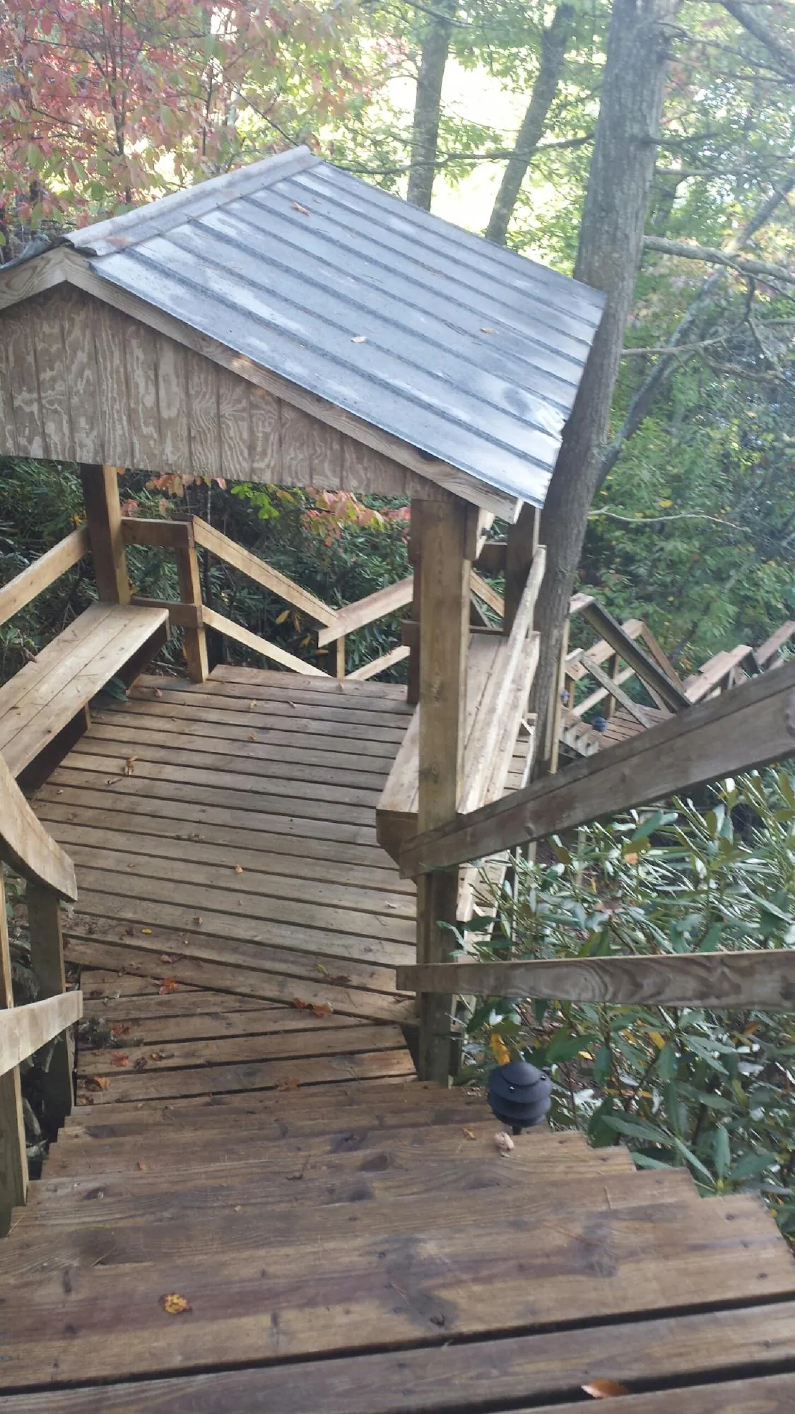 Metal roofed shelter over wooden steps on a wooded walkway — Skylight Repair & Installation work by our crew in Neah Bay